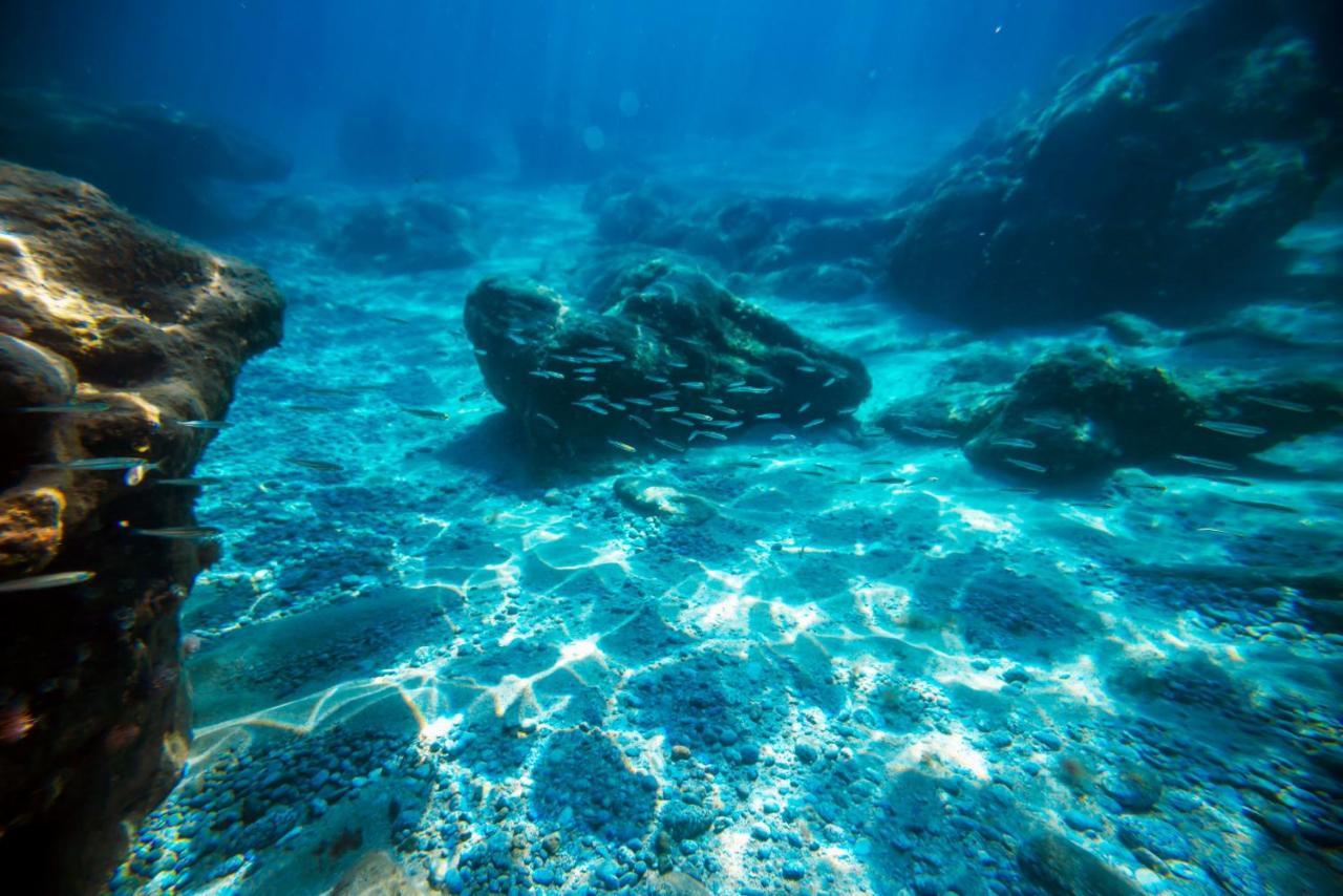 Hotel La Fattoria Sul Mare Capo Vaticano Zewnętrze zdjęcie
